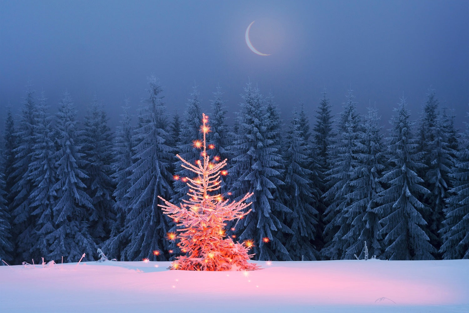 Toile de fond Sapin de Noël lumineux Nuit hivernale scintillante BRP9-365