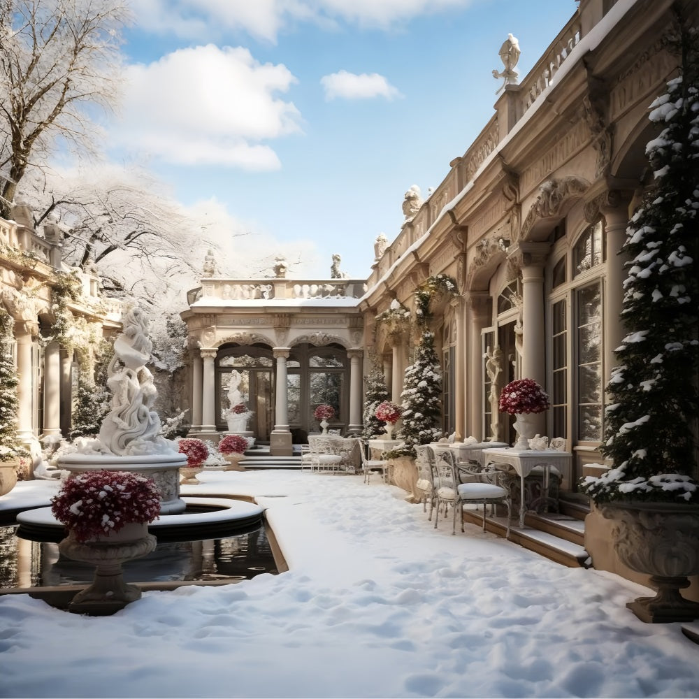 Toile de fond Cour vintage hivernale Fleurs Neige BRP9-371