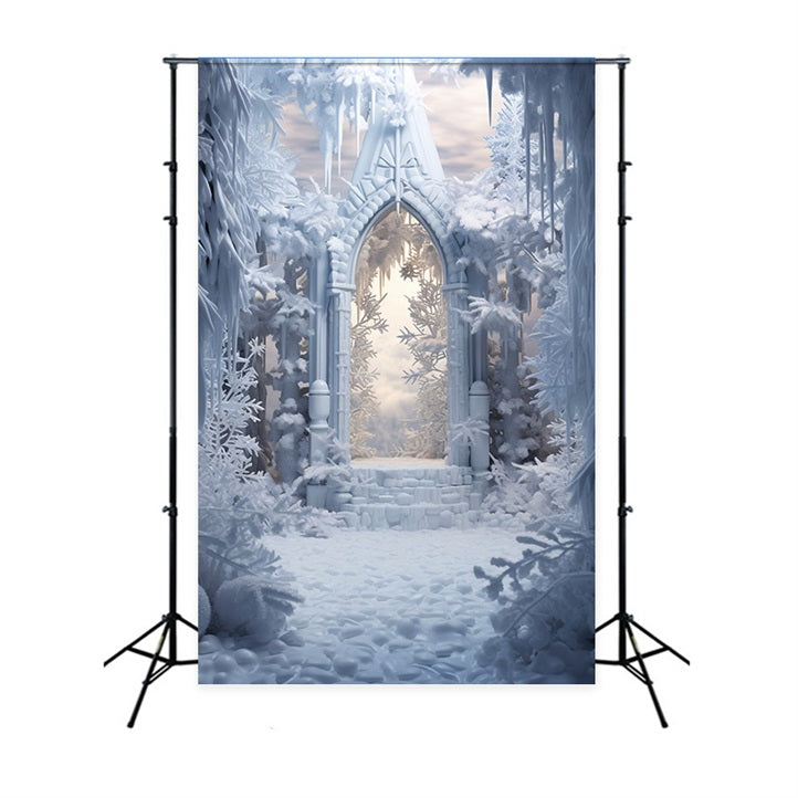 Toile de fond Arche enneigée entourée d’arbres glacés Hiver BRP9-378