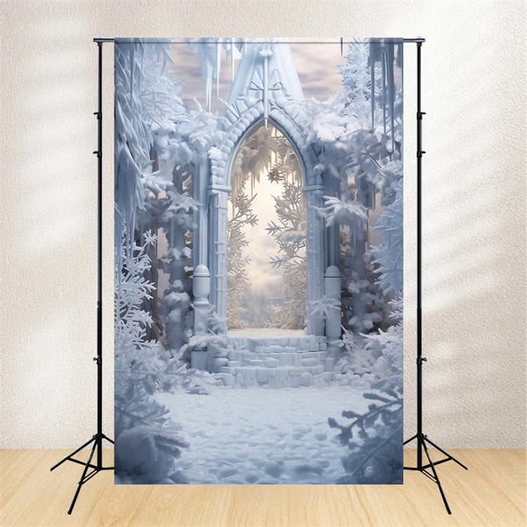 Toile de fond Arche enneigée entourée d’arbres glacés Hiver BRP9-378
