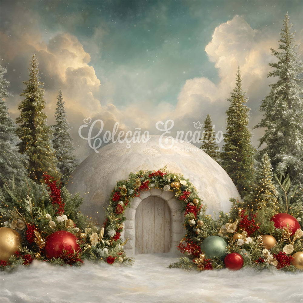 Toile de fond Photo Noël Maison de Neige Fleurs Forêt par Magali