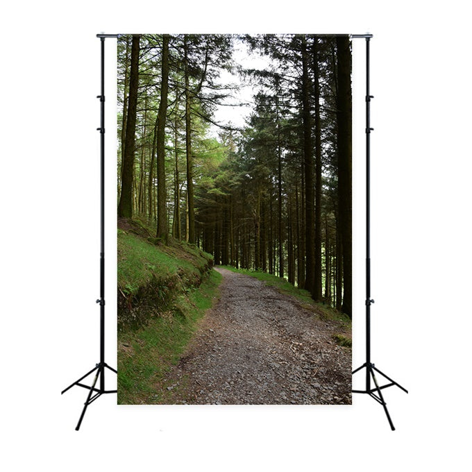 Toile de Fond Bois Photo Sentier Gravillon Rustique CJJ2-118