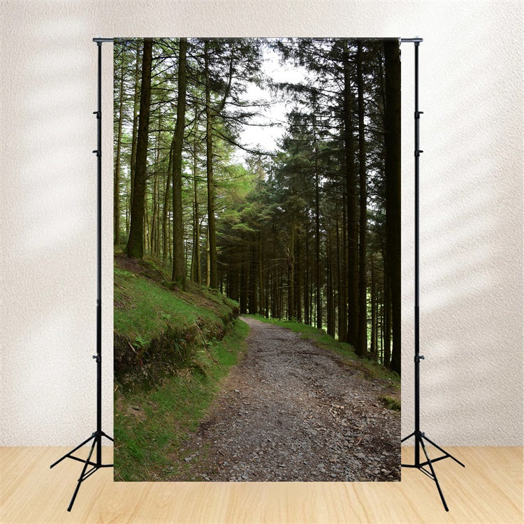 Toile de Fond Bois Photo Sentier Gravillon Rustique CJJ2-118