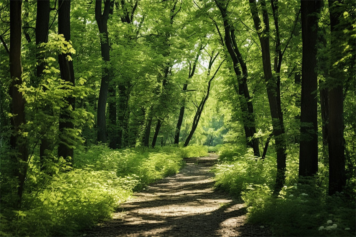 Toile de Fond Bois Photo Sentier Ensoleillé Forêt Luxuriante CJJ2-121
