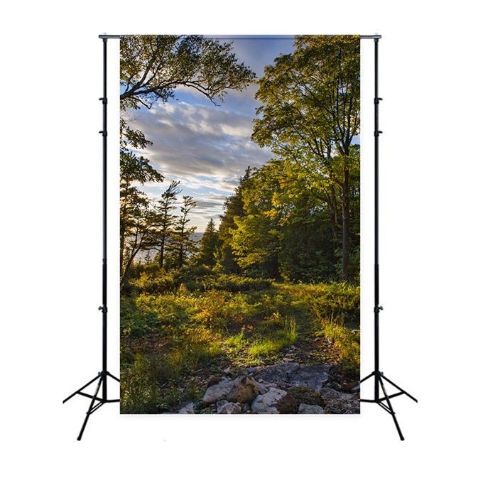 Toile de Fond Nature Sauvage Arbres Coucher de Soleil CJJ2-127