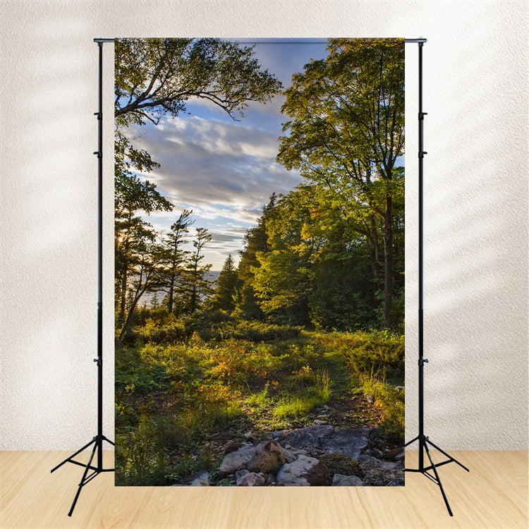 Toile de Fond Nature Sauvage Arbres Coucher de Soleil CJJ2-127
