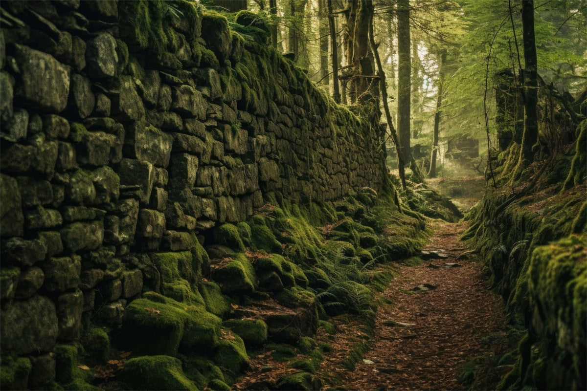Toile de Fond Photographie Forêt Chemin Mur Pierre Mousseux CJJ2-128
