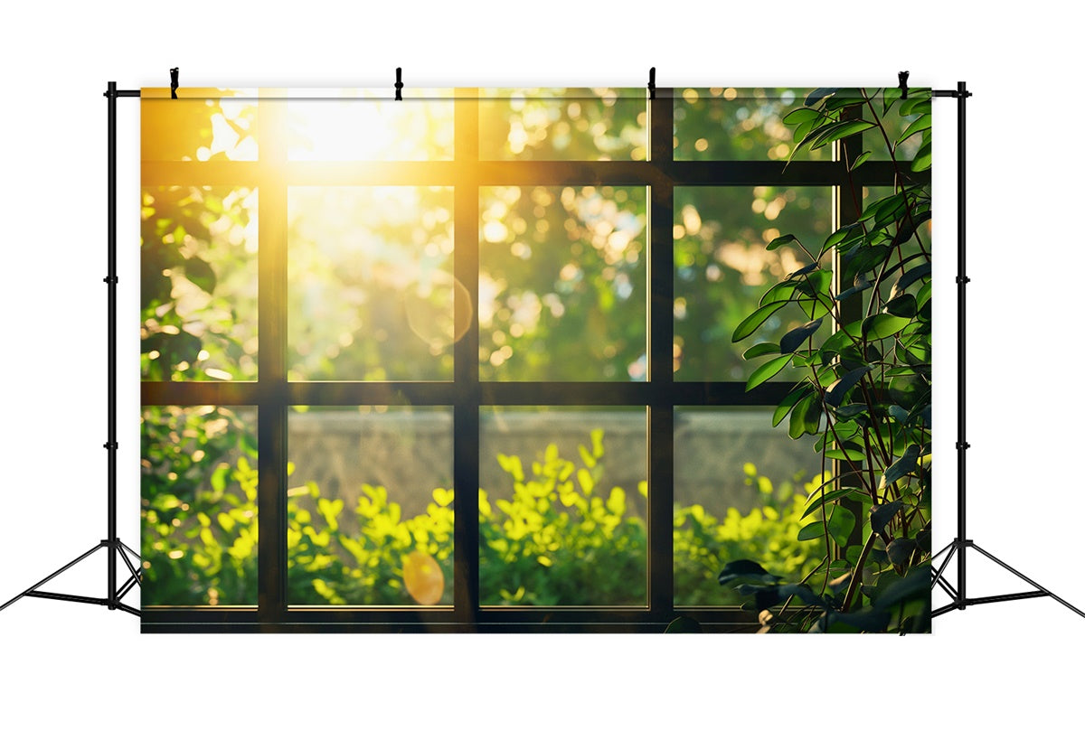Toile de Fond Photographie Forêt Verdure Ensoleillée Fenêtre Chaleureuse CJJ2-29