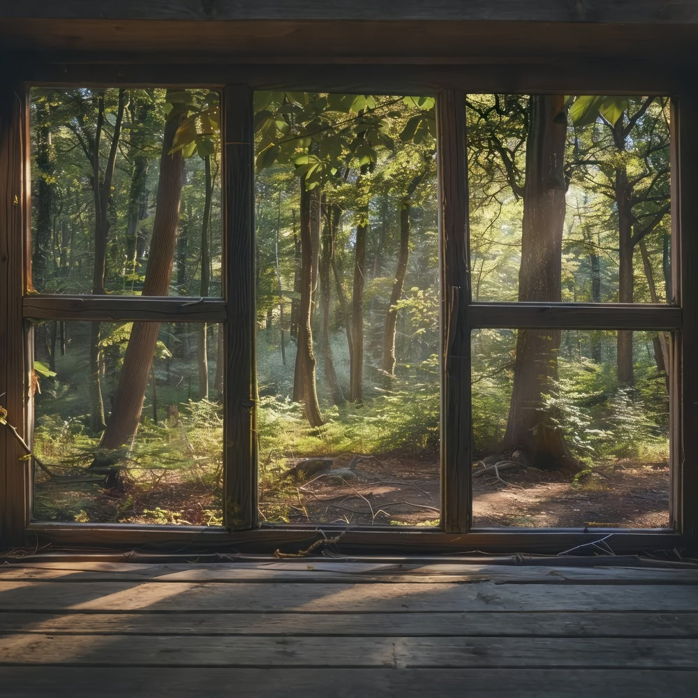 Toile de Fond Bois Scène Fenêtre Forêt Tranquille CJJ2-30