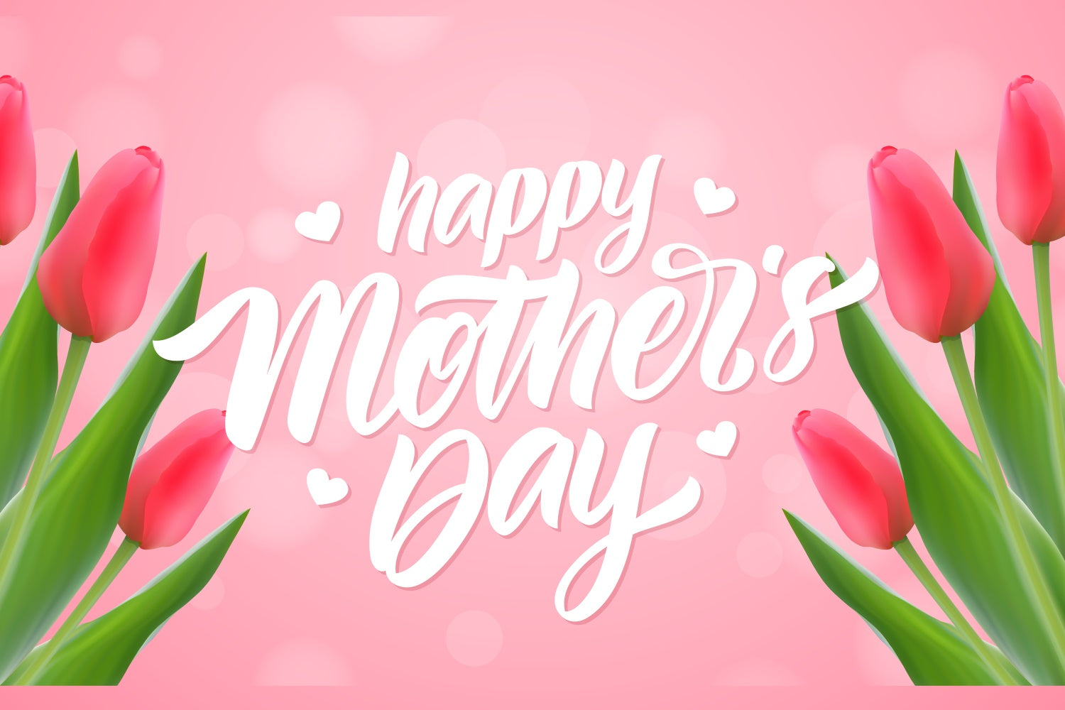 Toile de fond Fête des Mères Personnalisable Élégante Tulipe Rouge CJJ3-100