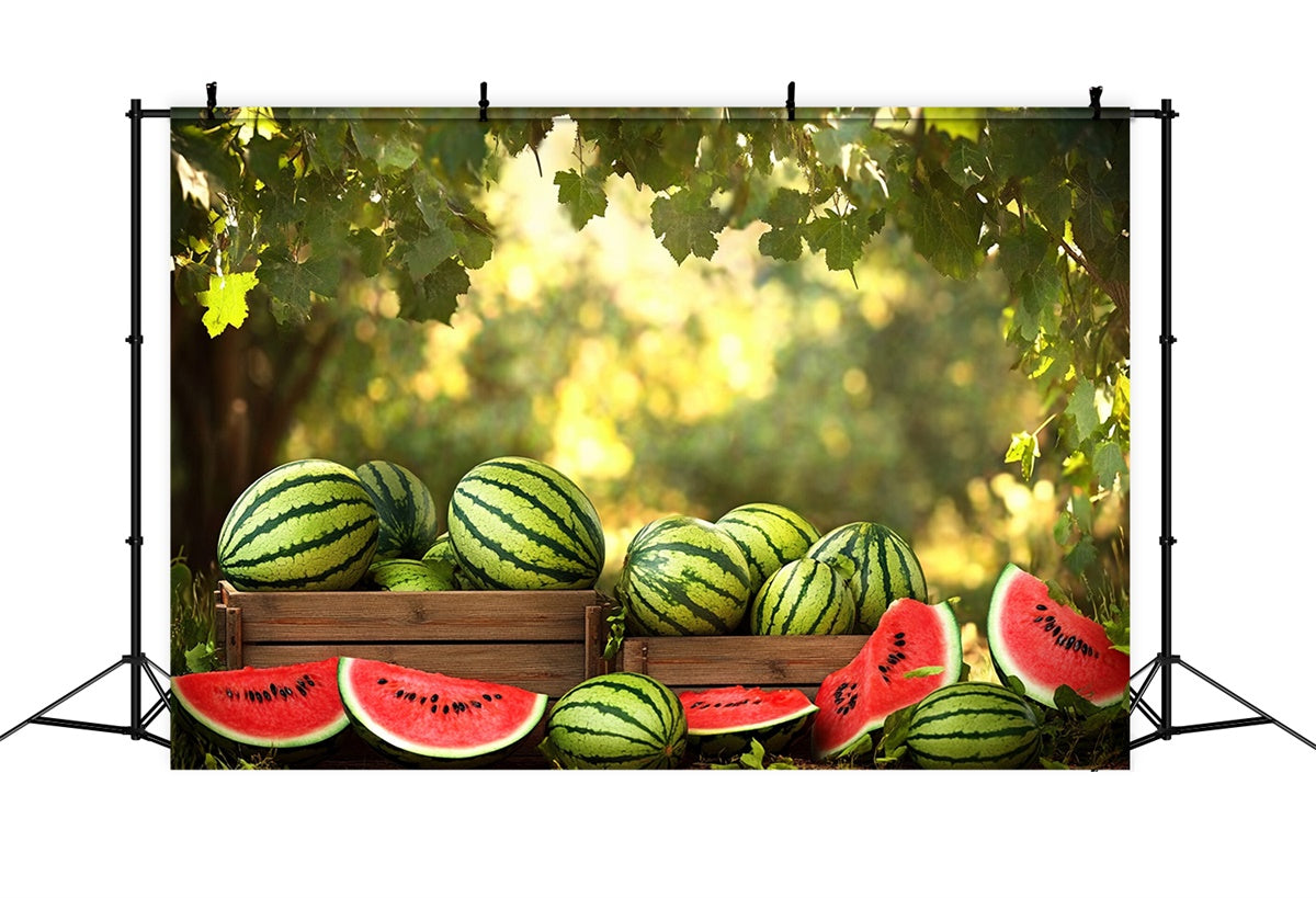 Toile de fond Été Pastèque Soleil Forêt Pastèque CJJ3-257