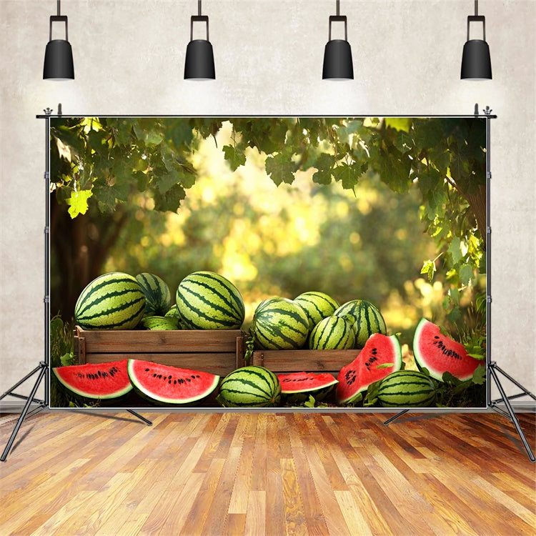 Toile de fond Été Pastèque Soleil Forêt Pastèque CJJ3-257