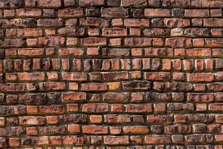 Toile de fond Mur Brique Patrimoine Rouge CJJ3-3