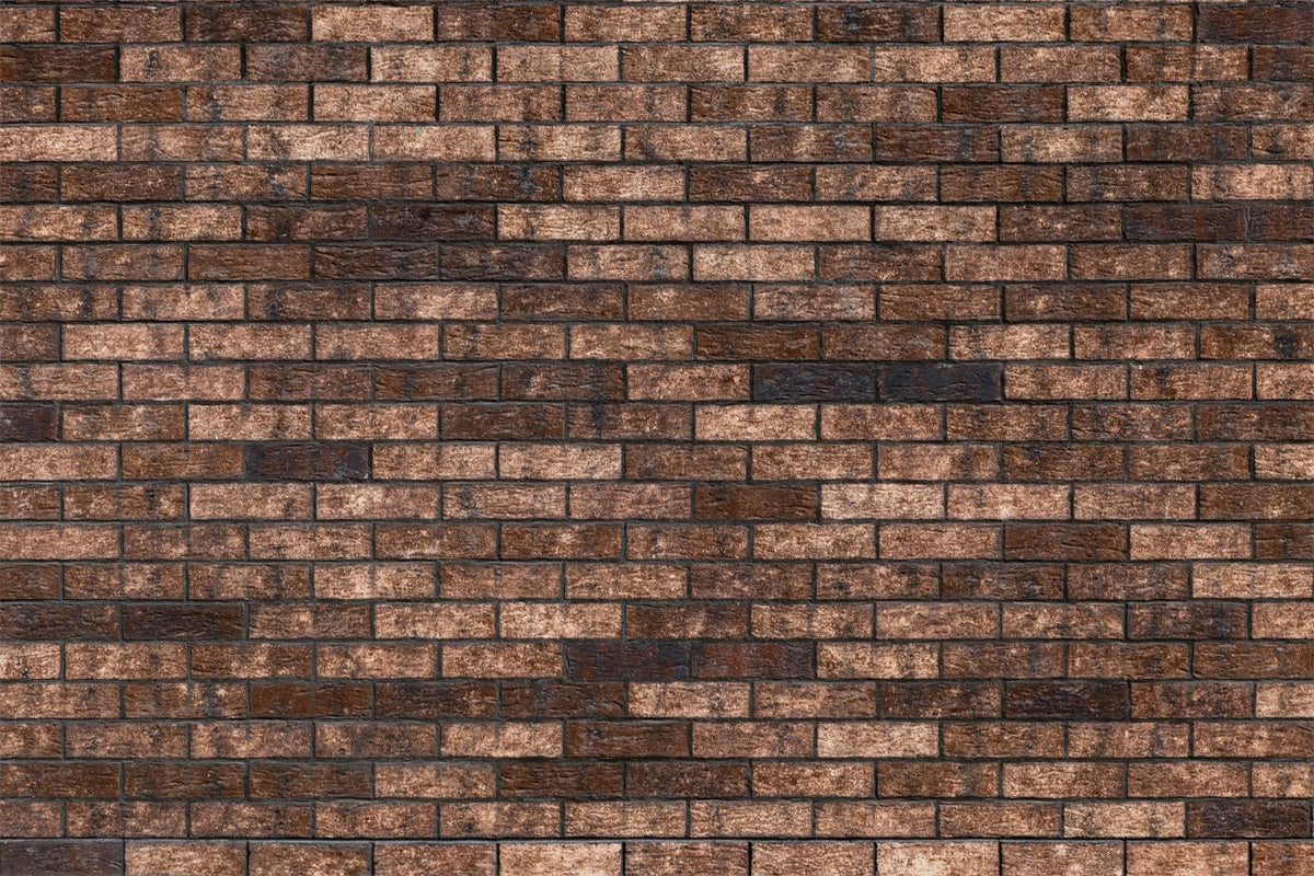 Toile de fond Photo Brique Texture Brune Classique CJJ3-32