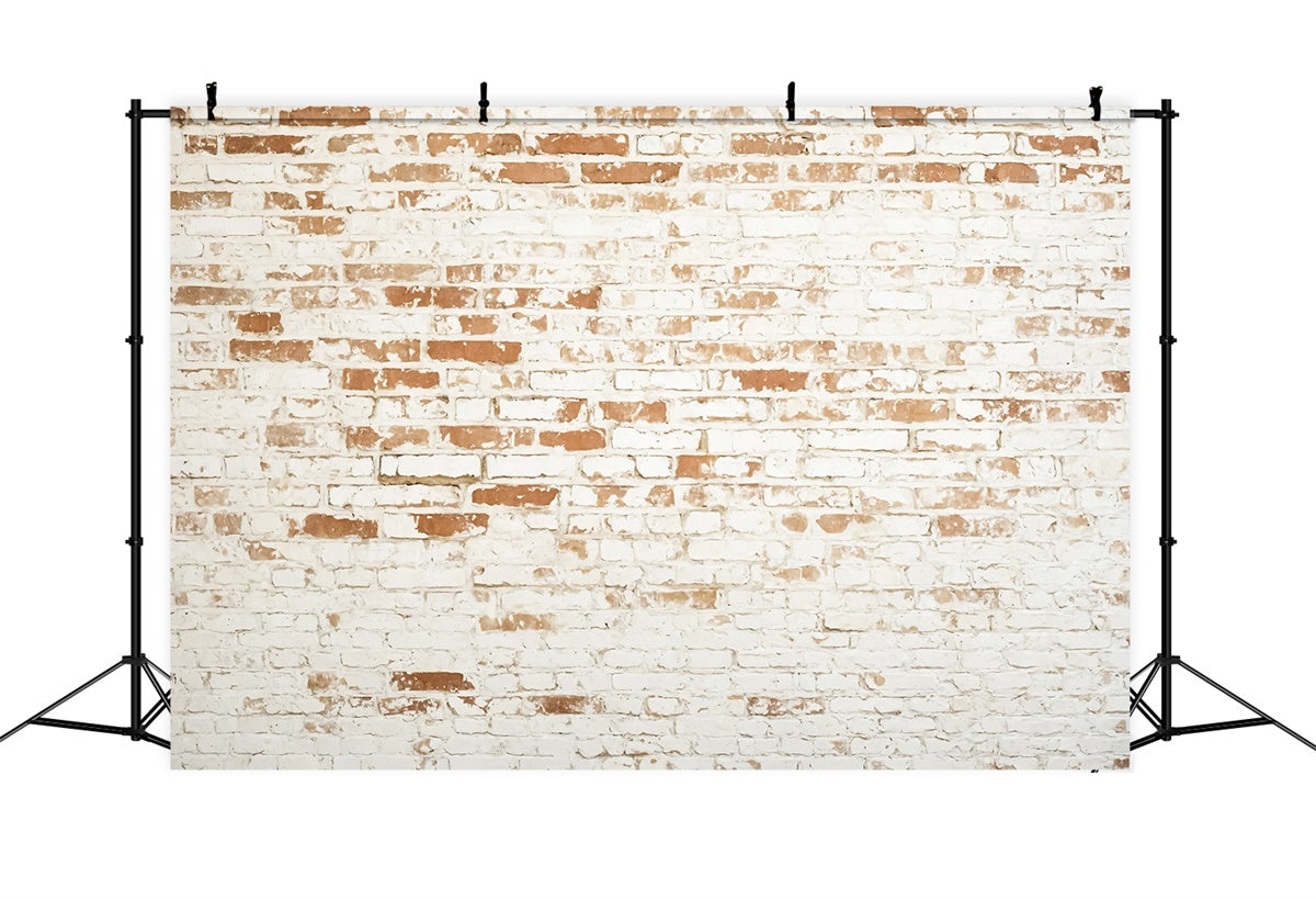 Toile de fond Mur Brique Texture Blanche Érodée CJJ3-37