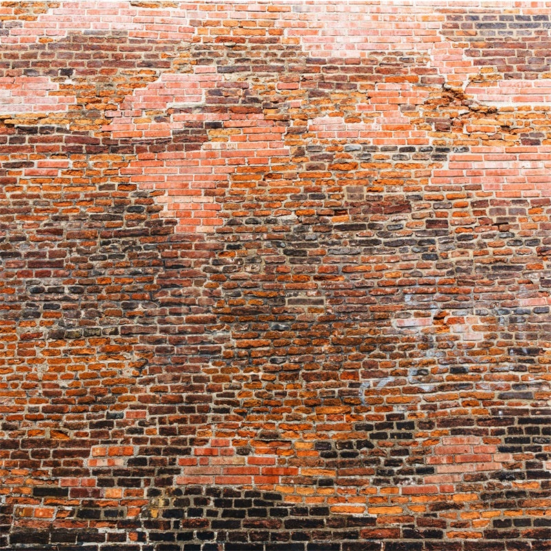 Toile de fond Brique Style Rétro Briques Variées CJJ3-5