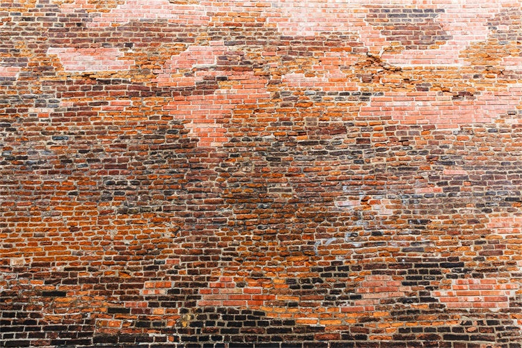 Toile de fond Brique Style Rétro Briques Variées CJJ3-5