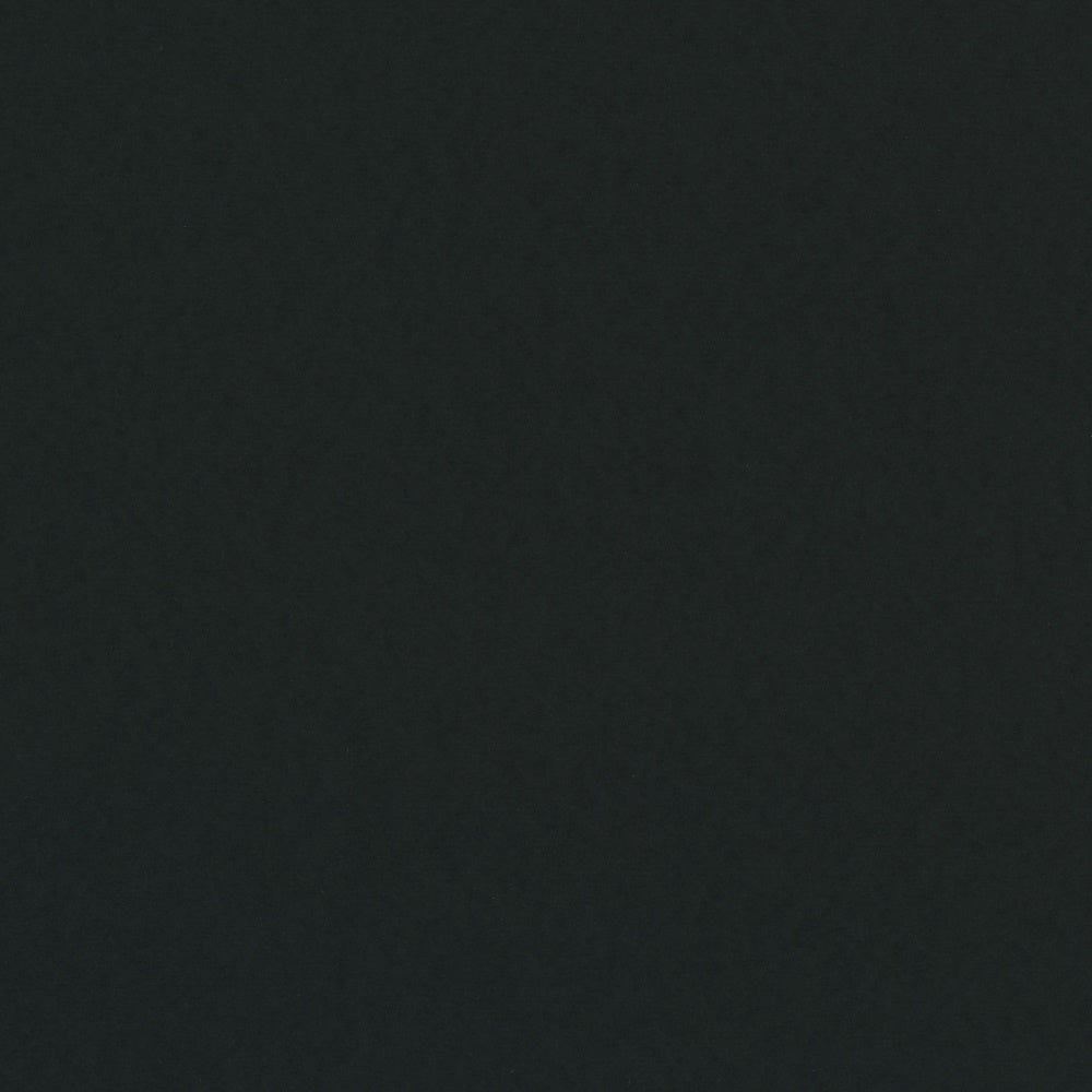 Toile de fond Noir Obscurité Absolue CJJ3-80