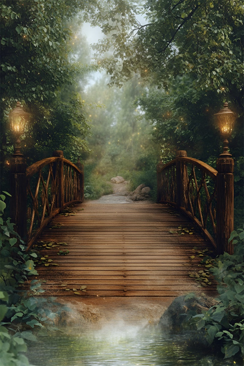 Toile de fond Forêt Photographie Pont Lanterne Crépuscule CSH4-115