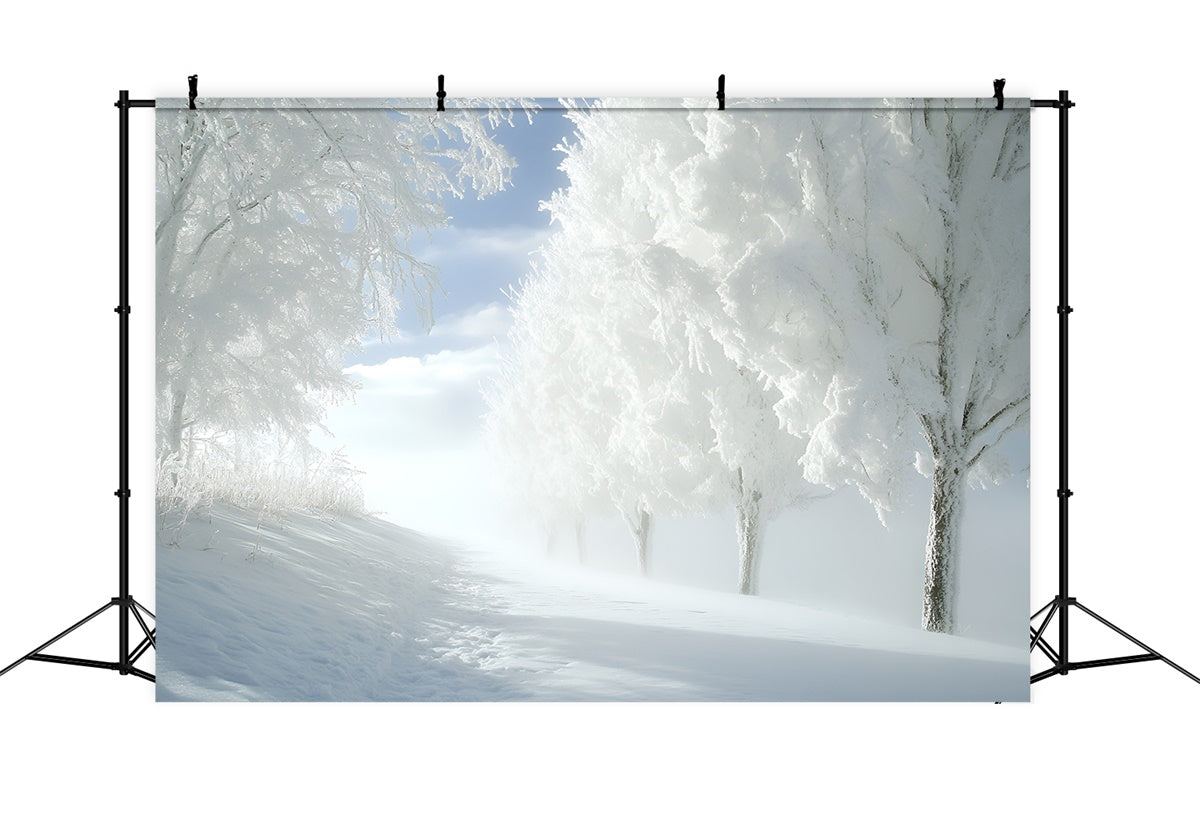 Toile de fond Photographie Forêt Bois Blancs Paisibles CSH4-121