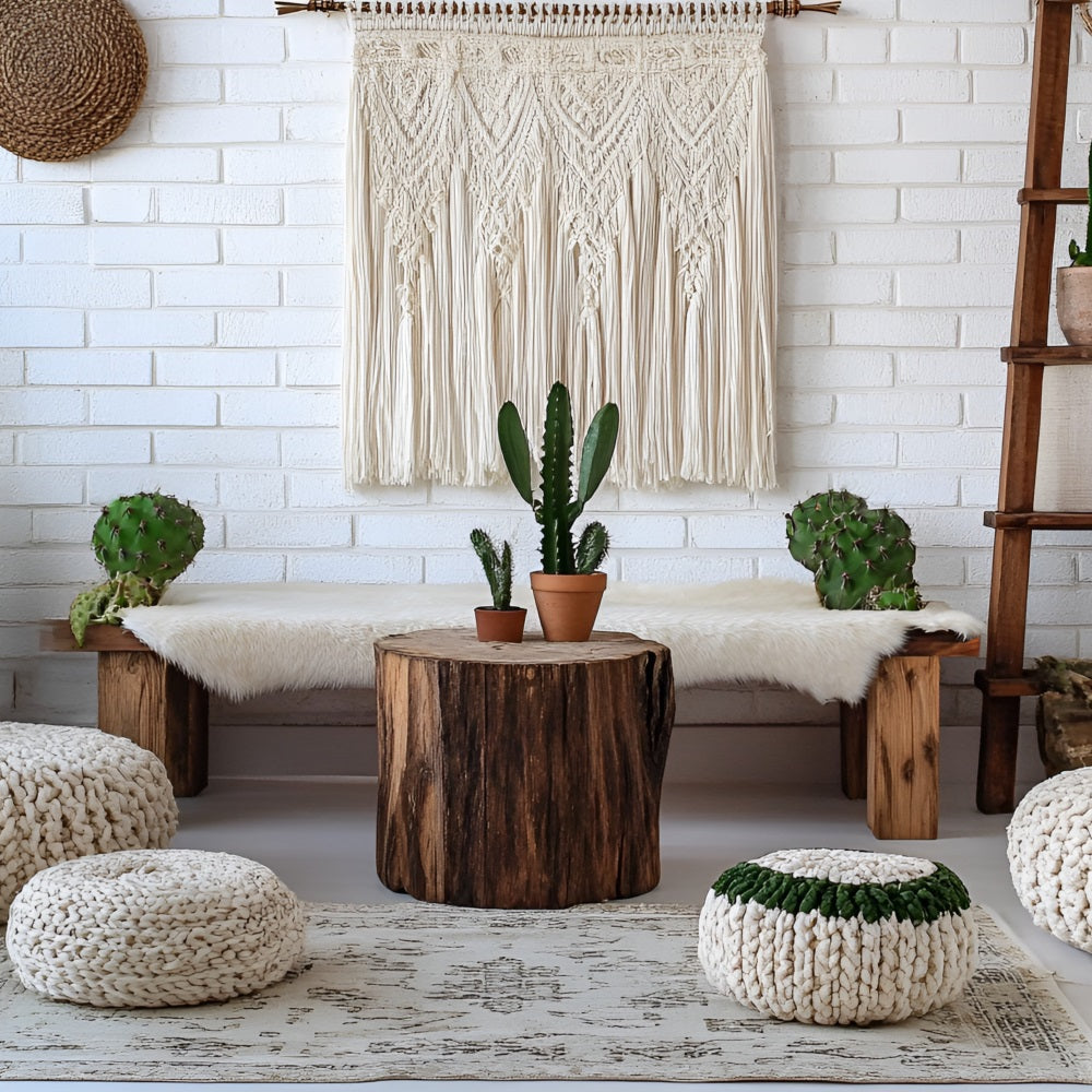 Toile de fond Photo Bohème Cactus Banc Mur Macramé CSH4-150
