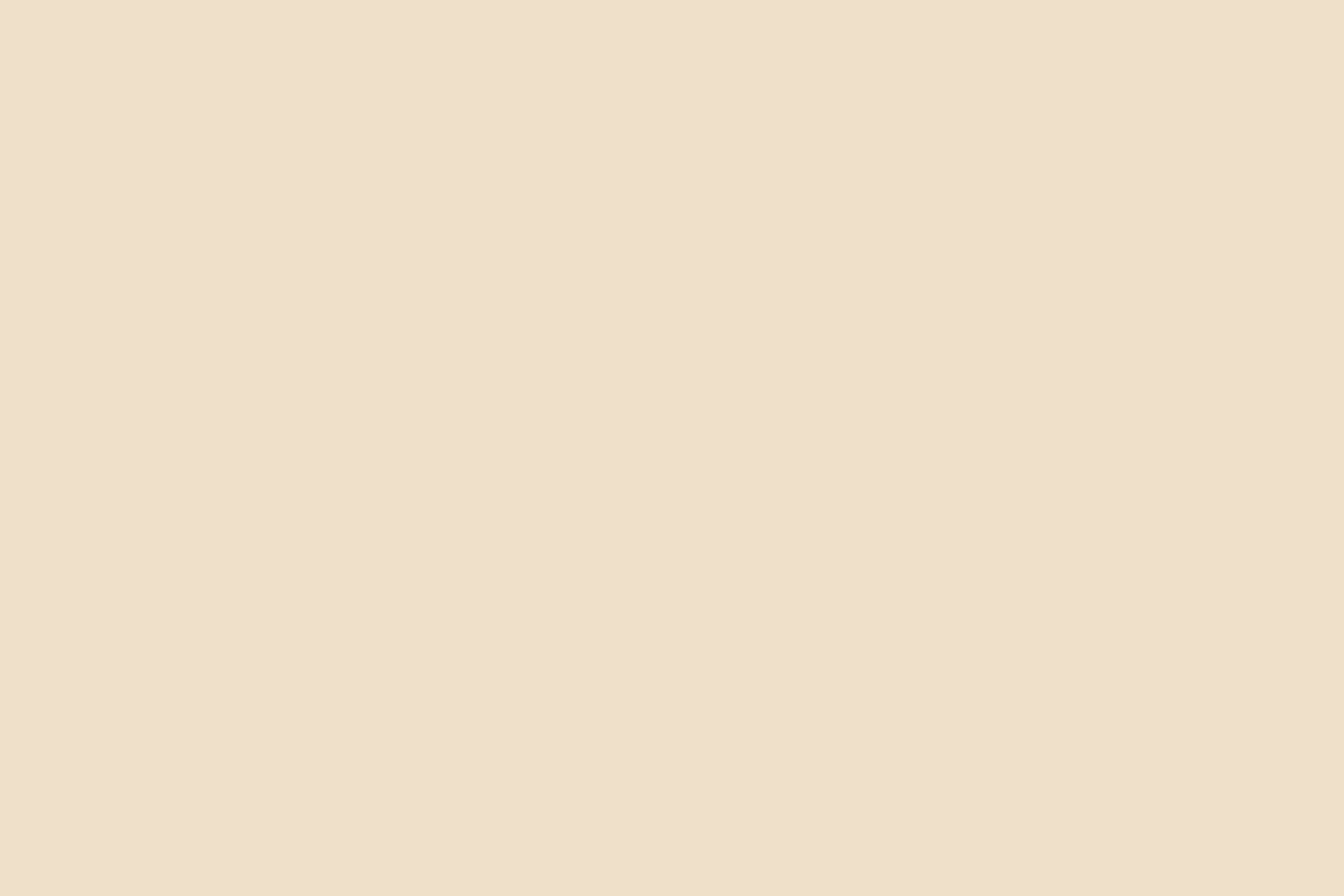 Toile de fond Beige Crémeux Doux CSH4-154
