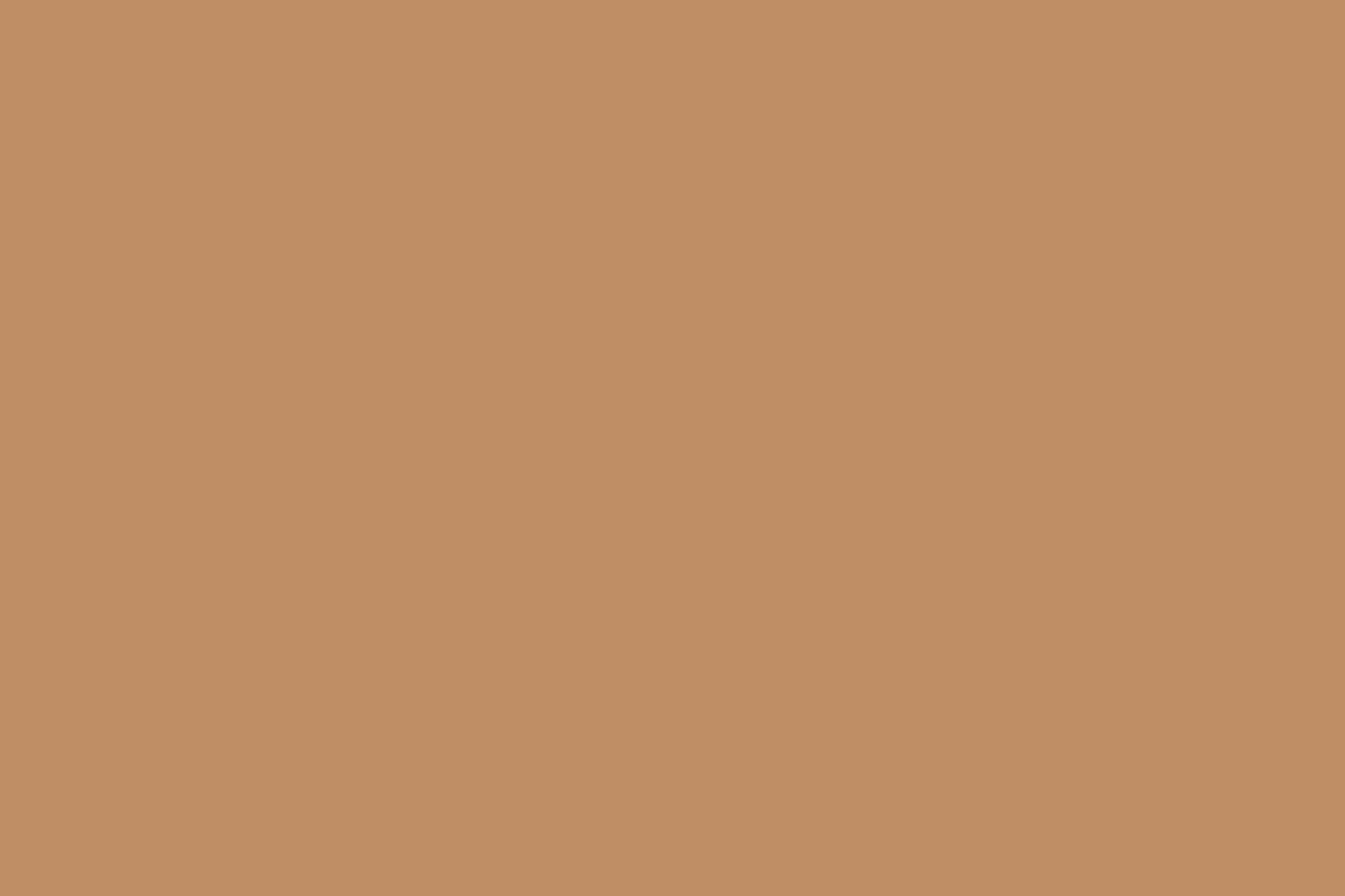 Toile de fond Marron Noisette Caramel CSH4-159