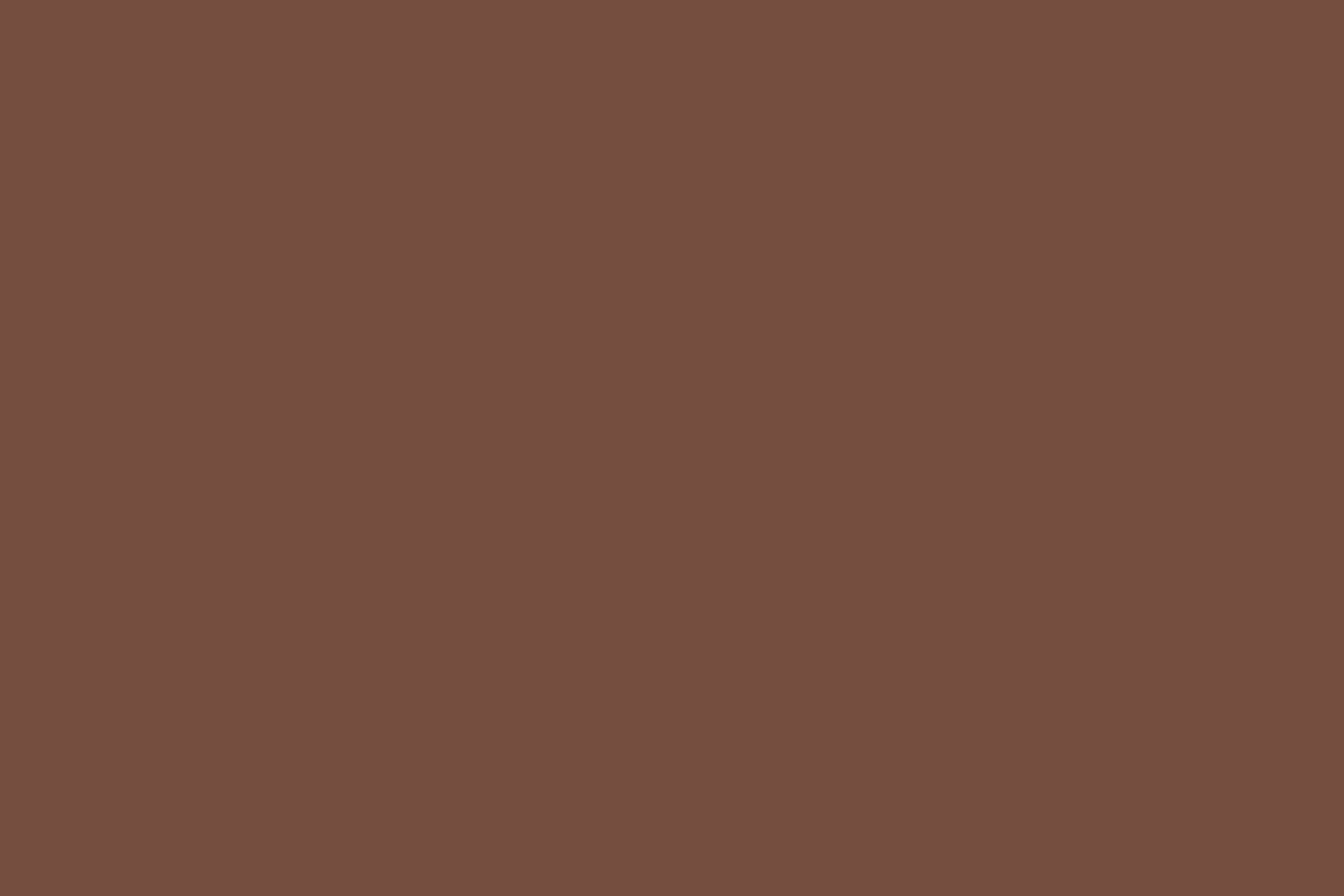 Toile de fond Brun Terracotta Intense CSH4-164