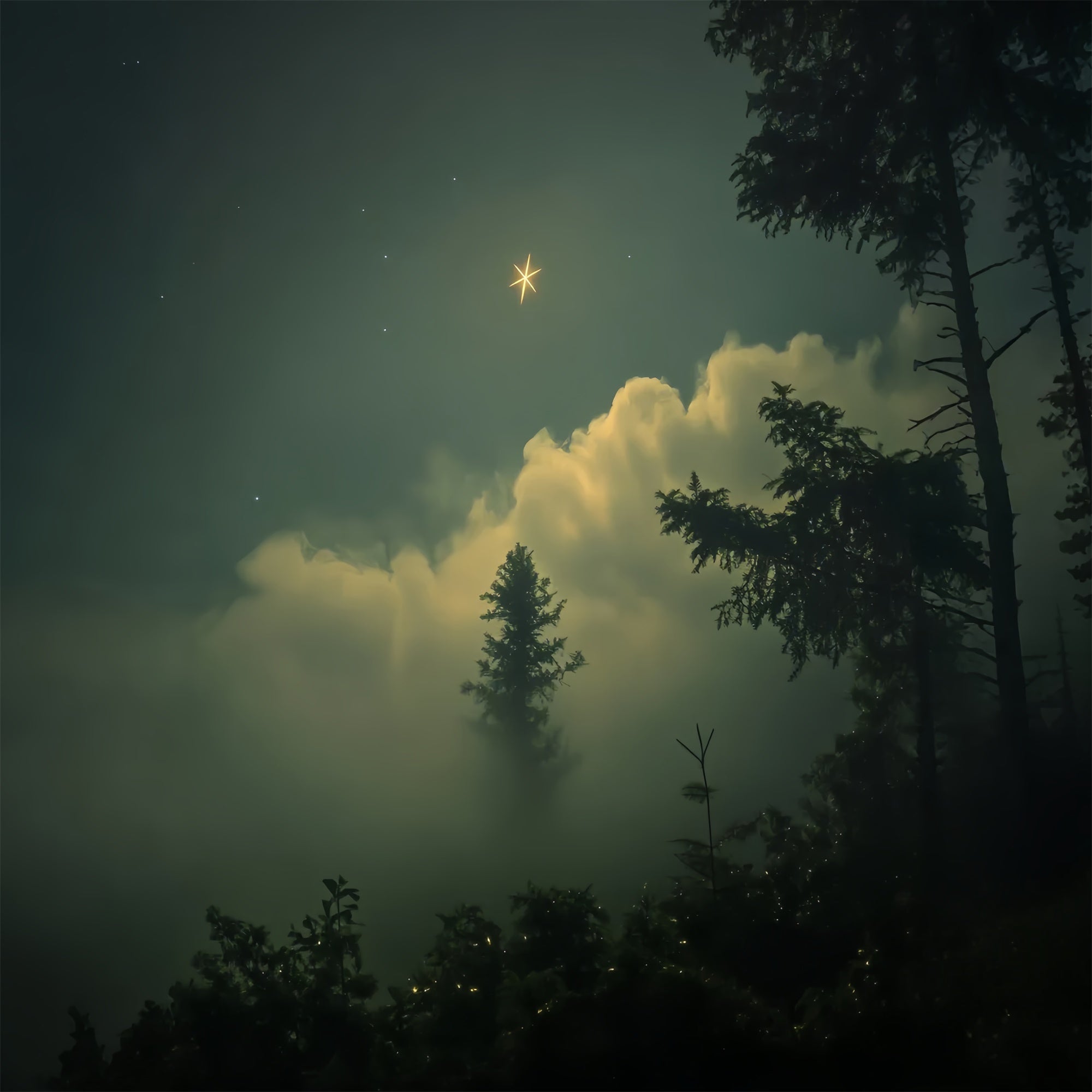 Toile de fond Portrait Forêt Étoiles Lumineuses Rêve CSH4-193