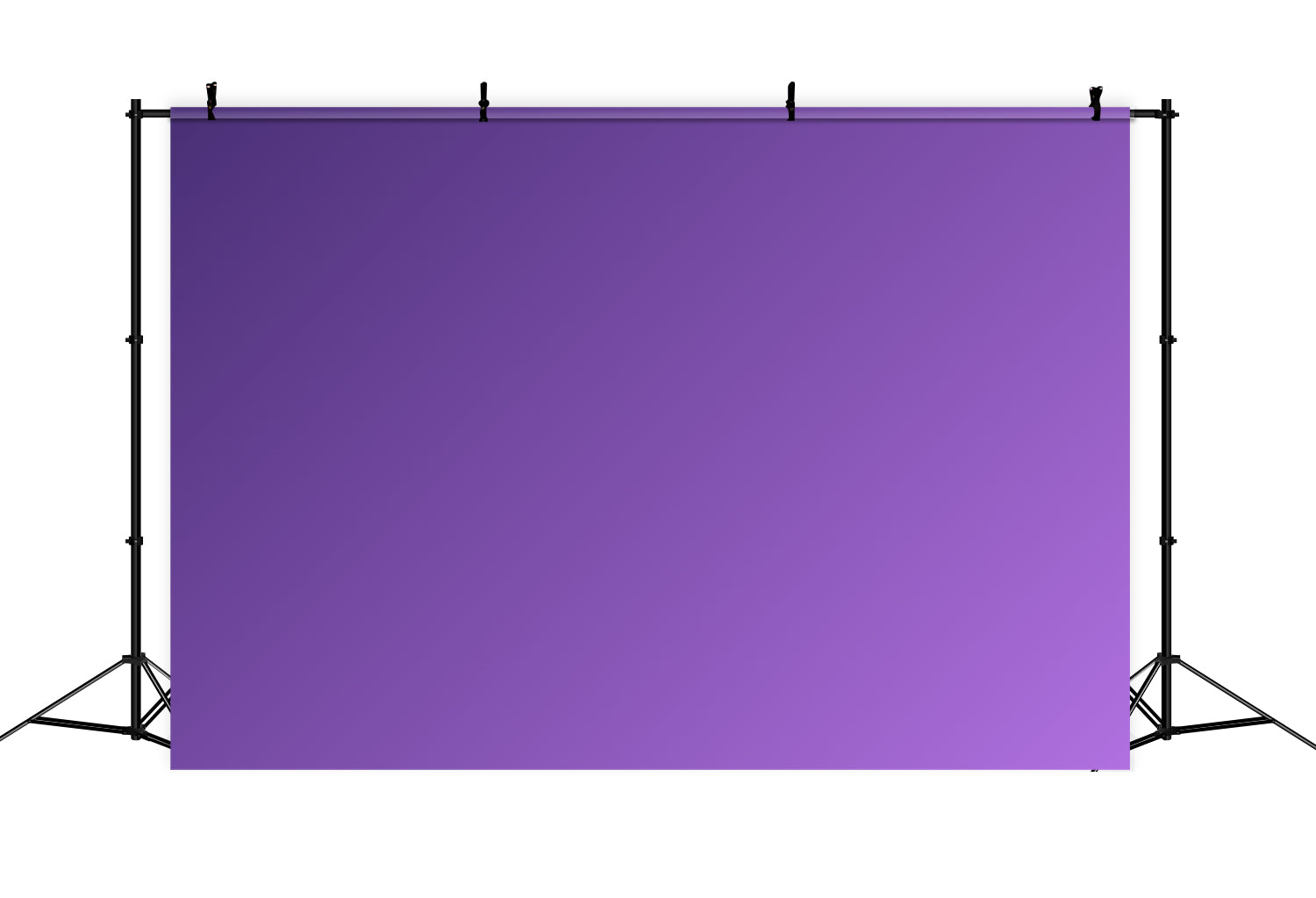 Toile de fond Portrait Violet Classique Minimaliste CSH4-195
