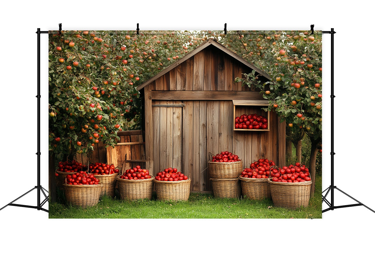 Toile de fond Grange en Bois Récolte de Pommes CSH4-225