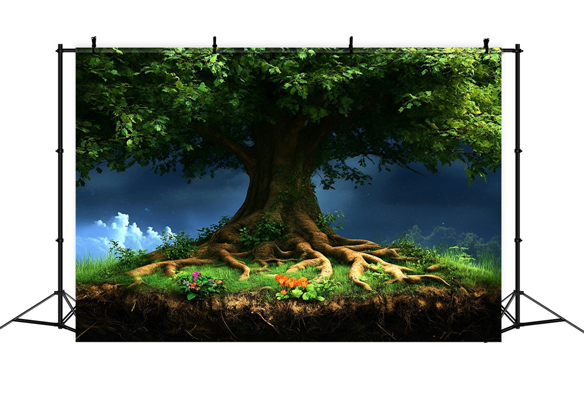 Toile de fond Forêt Photo Canopée Arbre Majestueux Fantaisie CSH4-96