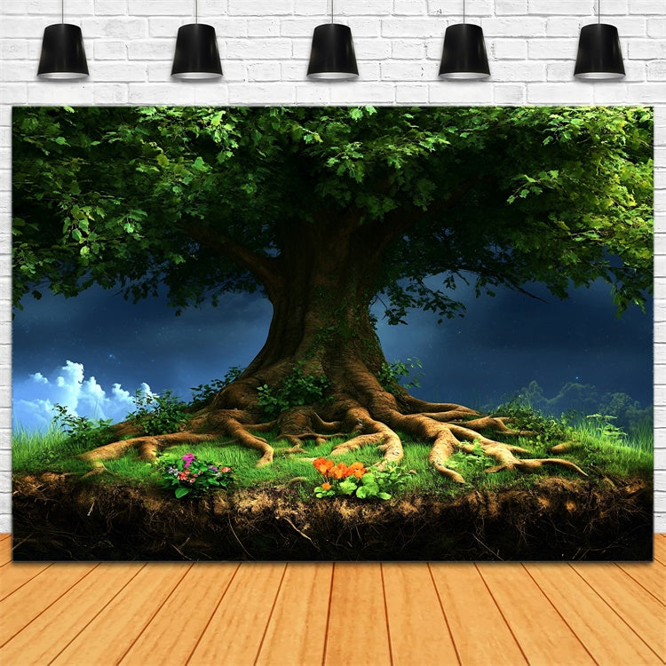 Toile de fond Forêt Photo Canopée Arbre Majestueux Fantaisie CSH4-96
