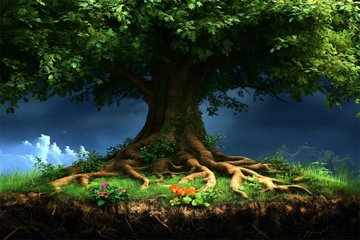 Toile de fond Forêt Photo Canopée Arbre Majestueux Fantaisie CSH4-96