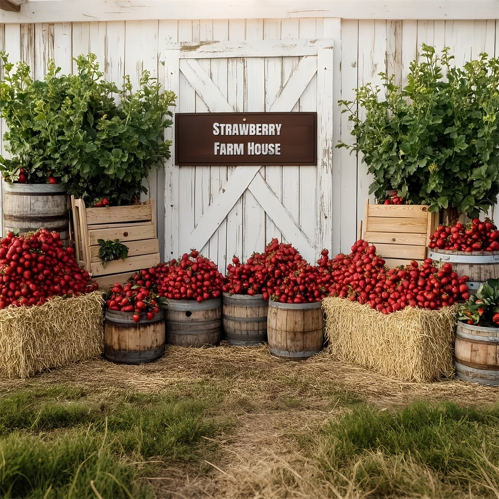 Toile de fond Fraises Ferme Rustique Été CSH5-128