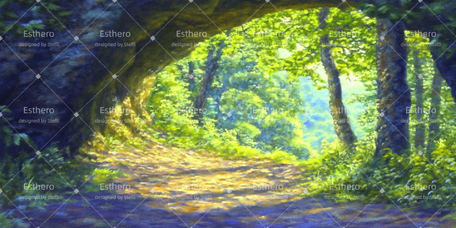 Fond de Scène Mur De Pierre CSH511-T23