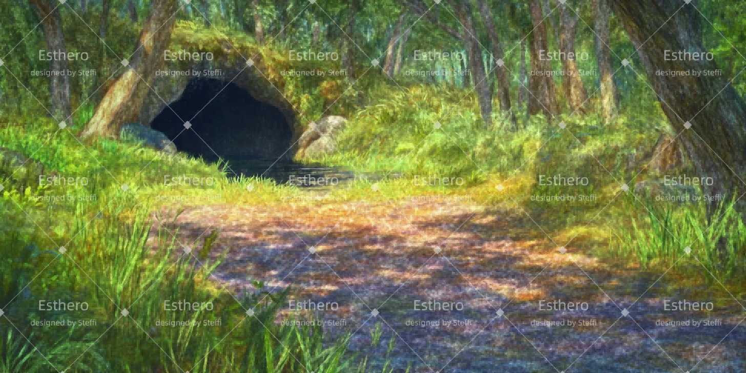 Fond de Scène Théâtre Marais Forestier CSH511-T24