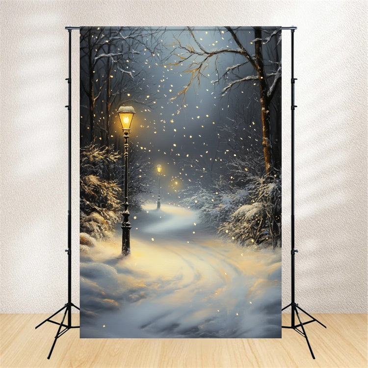 Toile de fond Forêt Hiver Chemin Lanterne Neige CSH57-151