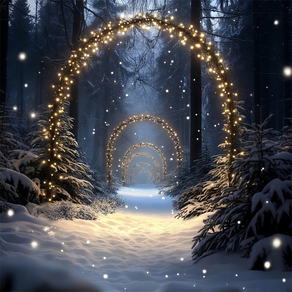 Toile de fond Forêt Neige Sentier Illuminé Enchanté CSH57-152