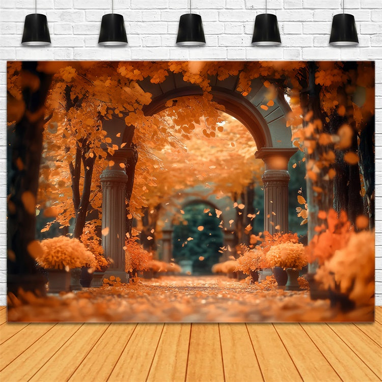 Toile de fond Forêt Automne Passage Érable Coucher Soleil CSH57-157