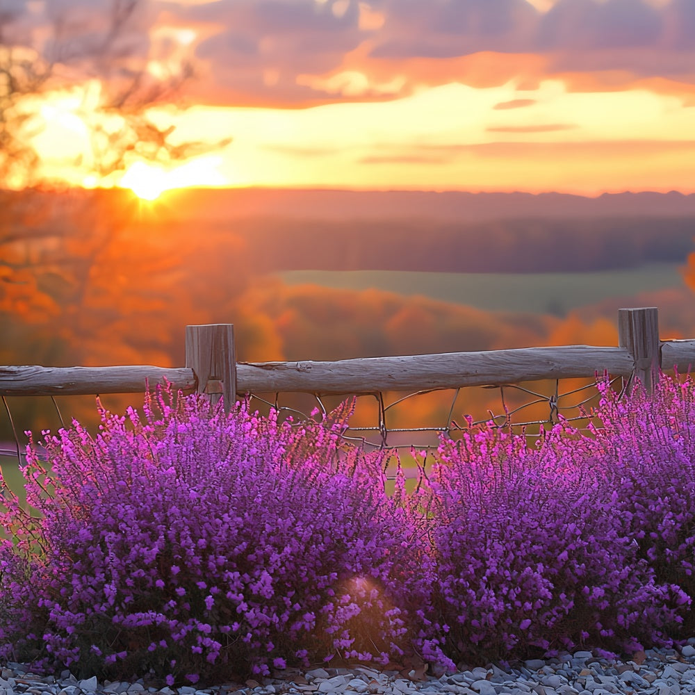 Toile de fond Photo Automne Horizon Fleurs Violettes Coucher Soleil CSH57-200