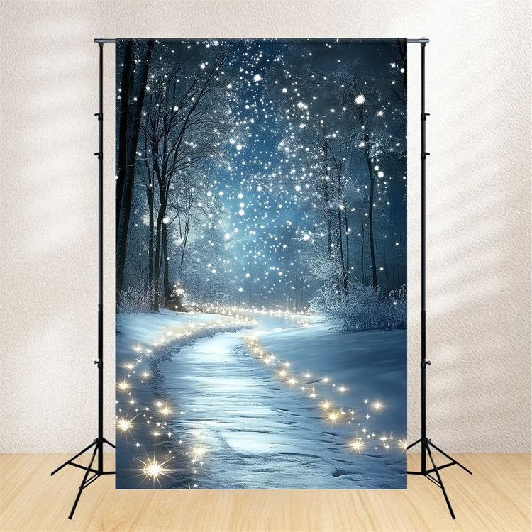 Toile de fond Hiver Pays des Merveilles Neige Étincelante de Minuit CSH57-201