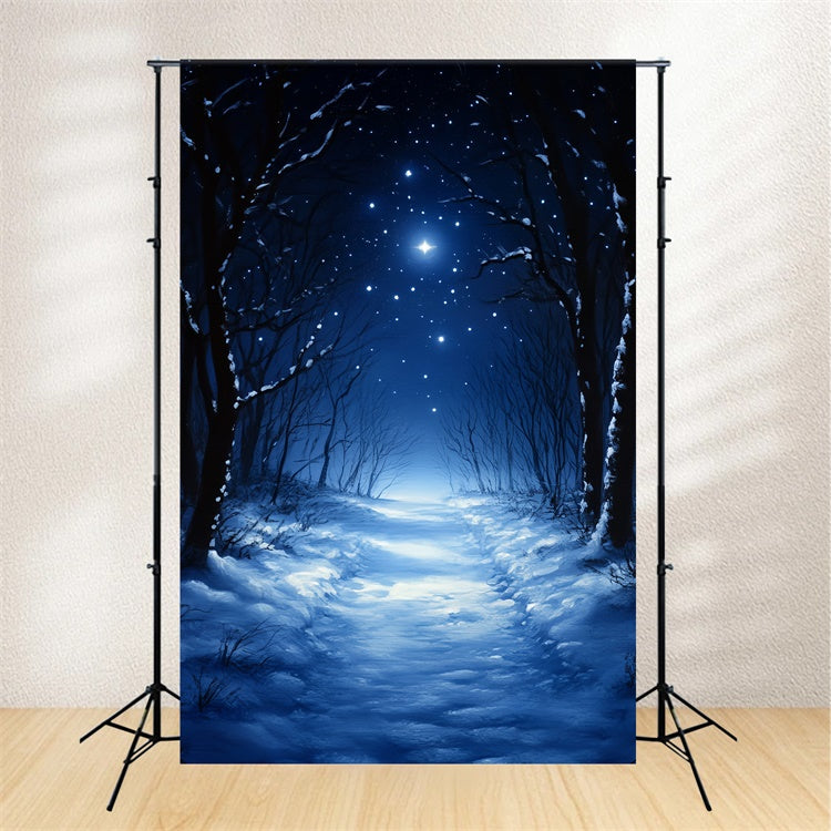 Toile de fond Hiver Forêt Silencieuse de Minuit CSH57-202