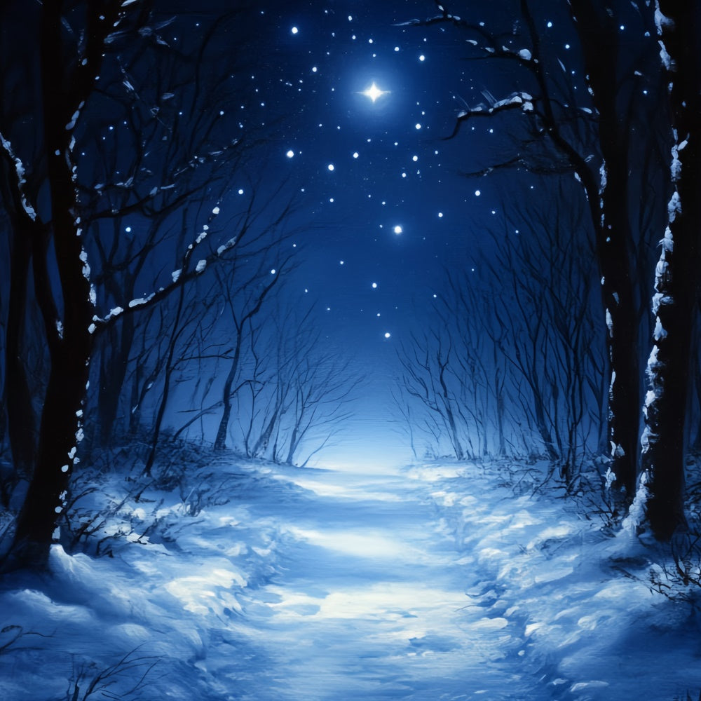 Toile de fond Hiver Forêt Silencieuse de Minuit CSH57-202