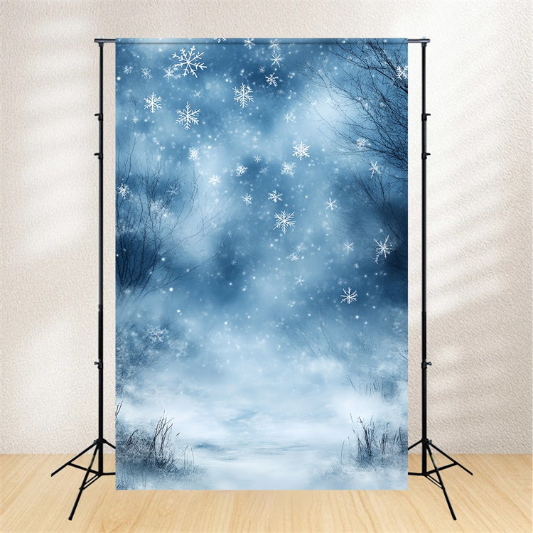 Toile de fond Hiver Brise Bleue de Rêve CSH57-204