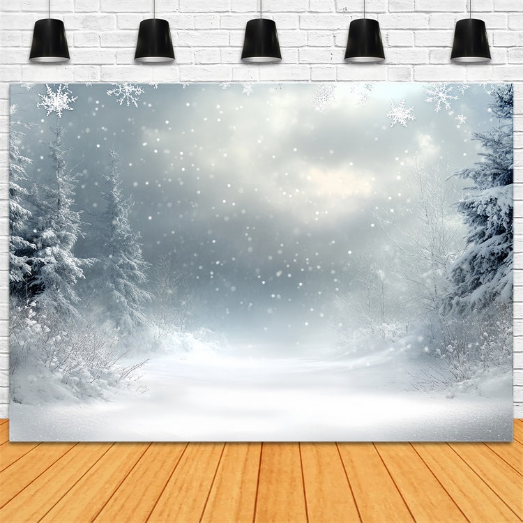 Toile de fond Hiver Brume Silencieuse de Neige CSH57-210