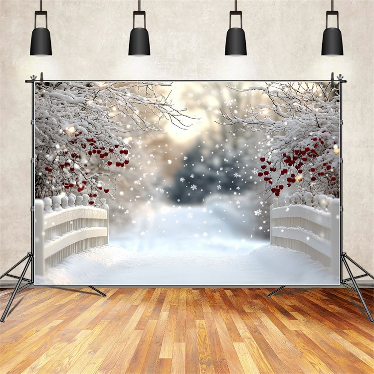 Toile de fond Hiver Pont de Baies sous la Neige CSH57-216