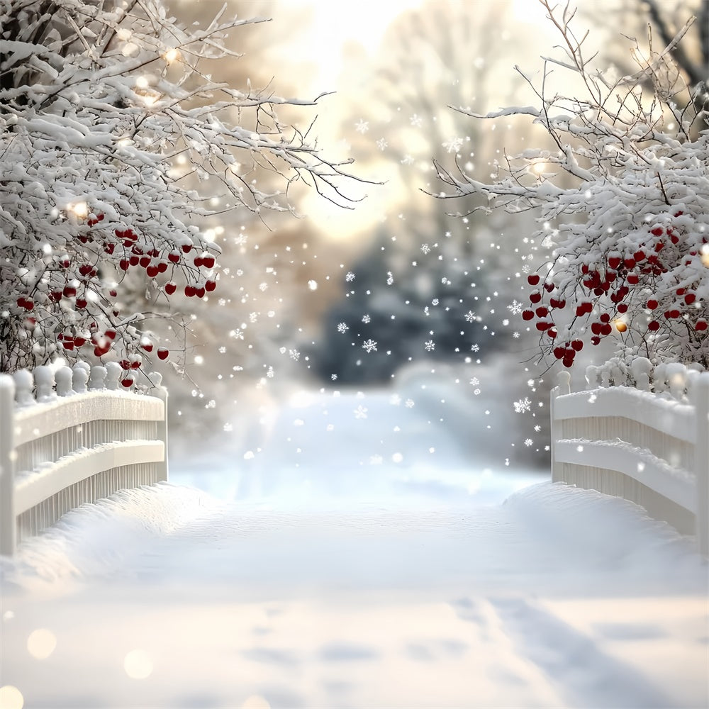 Toile de fond Hiver Pont de Baies sous la Neige CSH57-216
