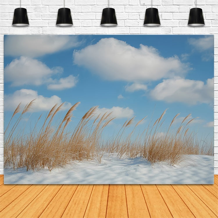 Toile de fond Hiver Brise de Prairie et Ciel Bleu CSH57-222