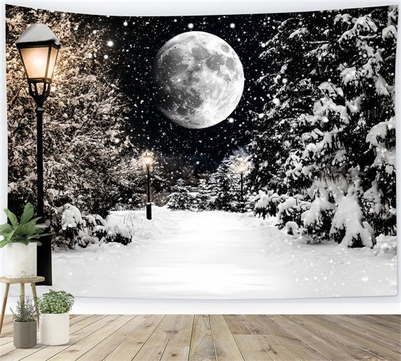 Toile de fond Hiver Sentier de Neige Nocturne CSH57-223